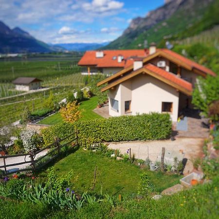 Agritur Zuveith Apartment Салорно Екстериор снимка