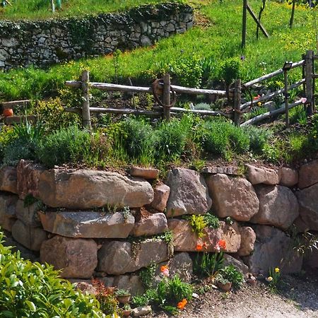 Agritur Zuveith Apartment Салорно Екстериор снимка