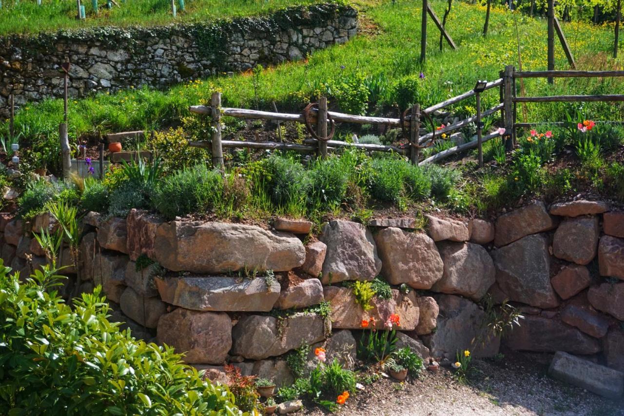 Agritur Zuveith Apartment Салорно Екстериор снимка